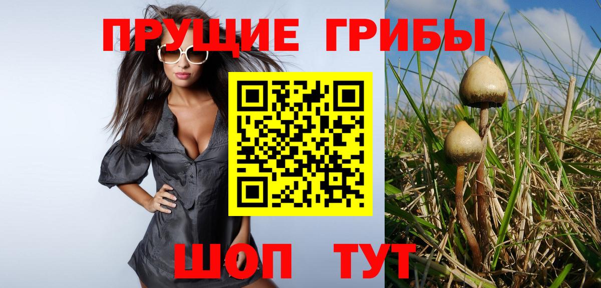 Галлюциногенные грибы Cubensis  Галлюциногенные грибы MAGIC MUSHROOMS  Алексеевка  Вход с VPN 